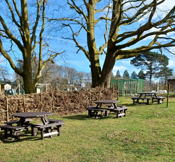 Picnic benches